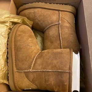 Toddler UGG boots classic chestnut